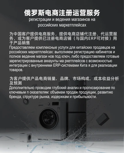 b5b26104-1138-477c-9fe5-85c06490b179-俄罗斯电商注册运营服务.png